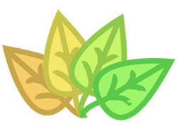 GreenHouse Logo