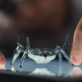 Robotic spider
